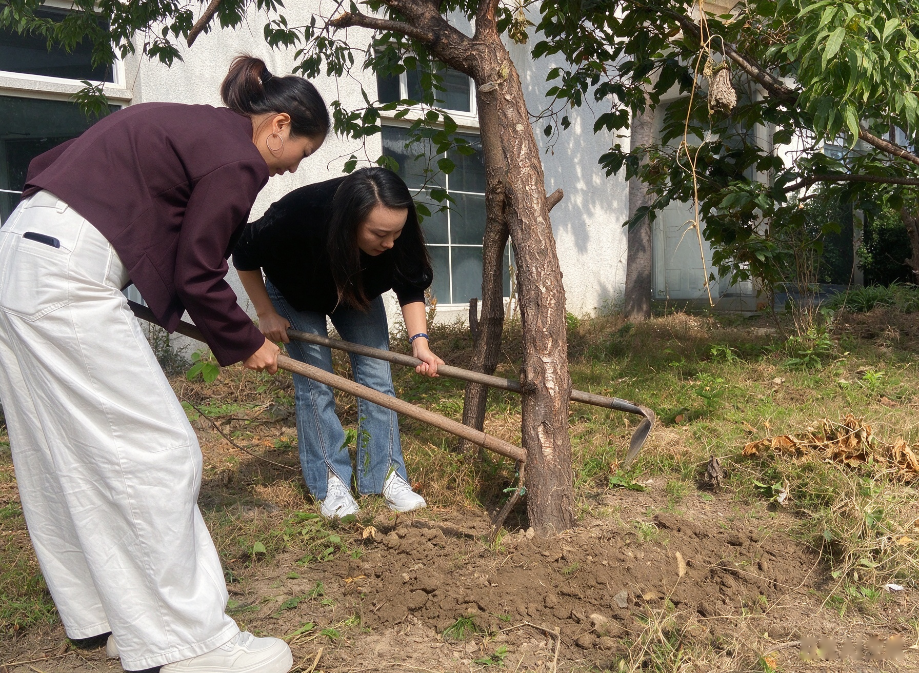 团队风采